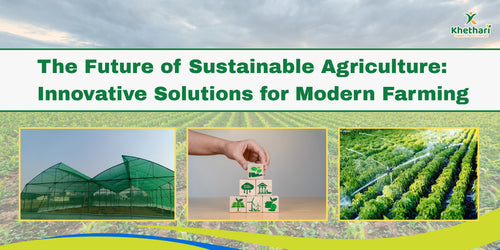 The Future of Sustainable Agriculture: Innovative Solutions for Modern Farming