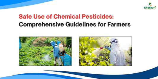 Safe Use of Chemical Pesticides: Comprehensive Guidelines for Farmers and the Agri-Input Sector
