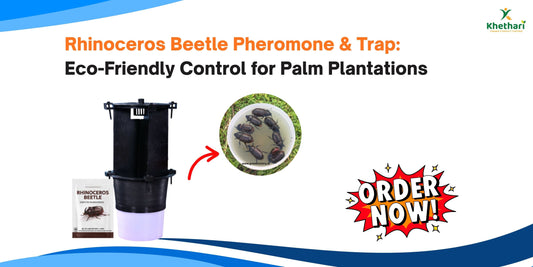 Rhinoceros Beetle Pheromone & Trap: Eco-Friendly Control for Palm Plantations