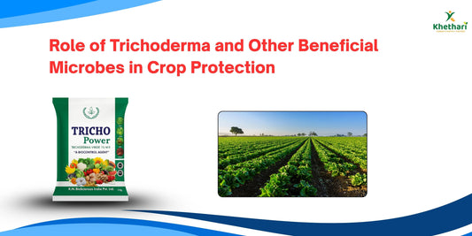 Role of Trichoderma and Other Beneficial Microbes in Crop Protection