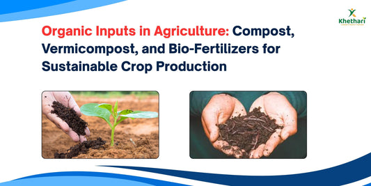 Organic Inputs in Agriculture: Compost, Vermicompost, and Bio-Fertilizers for Sustainable Crop Production
