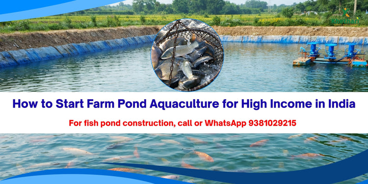 How to Start Farm Pond Aquaculture for High Income in India