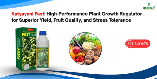 Katyayani Fast: High-Performance Plant Growth Regulator for Superior Yield, Fruit Quality, and Stress Tolerance