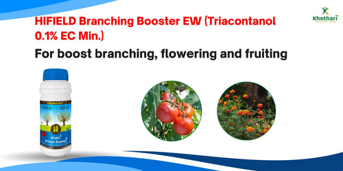 HIFIELD Branching Booster EW (Triacontanol 0.1% EC Min.) For boost branching,flowering and fruiting