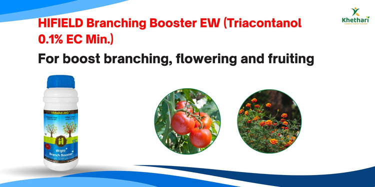 HIFIELD Branching Booster EW (Triacontanol 0.1% EC Min.) For boost branching,flowering and fruiting