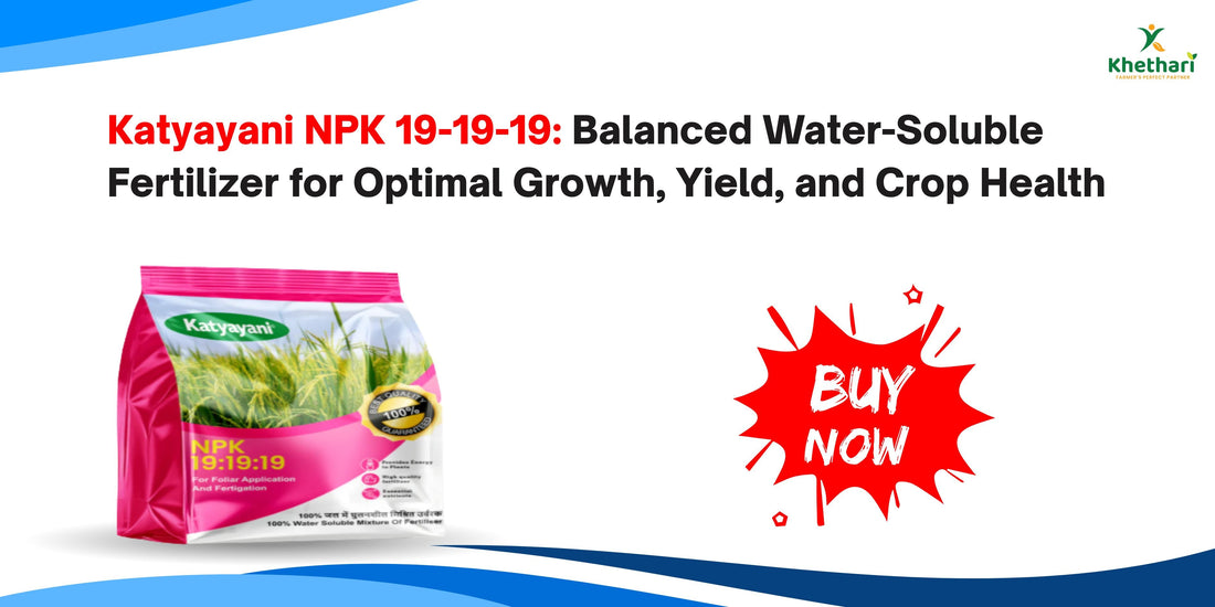 Katyayani NPK 19-19-19: Balanced Water-Soluble Fertilizer for Optimal Growth, Yield, and Crop Health