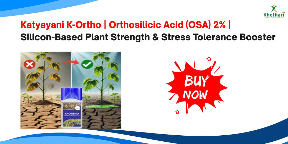 Katyayani K-Ortho | Orthosilicic Acid (OSA) 2% | Silicon-Based Plant Strength & Stress Tolerance Booster