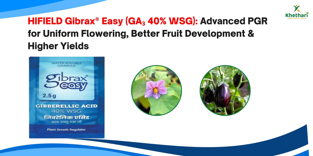 HIFIELD Gibrax® Easy (GA₃ 40% WSG): Advanced PGR for Uniform Flowering, Better Fruit Development & Higher Yields