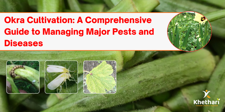 Okra Cultivation: A Comprehensive Guide to Managing Major Pests and Diseases