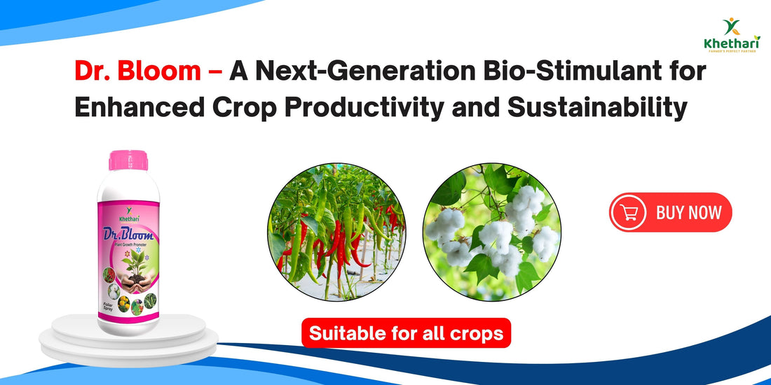 Dr. Bloom – A Next-Generation Bio-Stimulant for Enhanced Crop Productivity and Sustainability