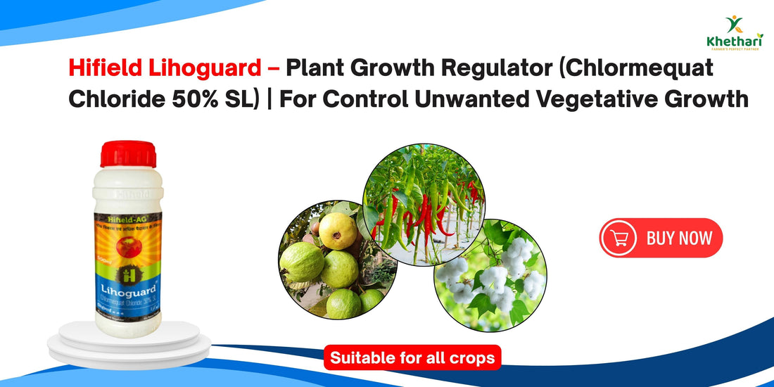 Hifield Lihoguard – Plant Growth Regulator (Chlormequat Chloride 50% SL) | For Control Unwanted Vegetative Growth
