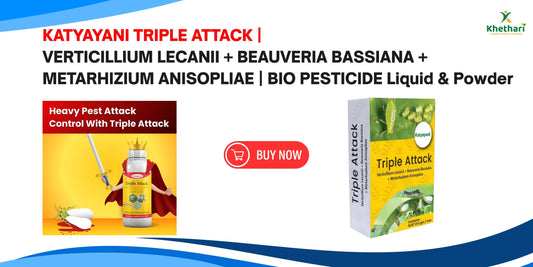 KATYAYANI TRIPLE ATTACK | VERTICILLIUM LECANII + BEAUVERIA BASSIANA + METARHIZIUM ANISOPLIAE | BIO PESTICIDE Liquid & Powder
