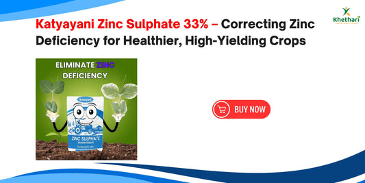 Zinc Sulphate 33% | Monohydrate Micro Nutrient