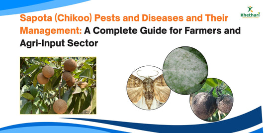 Sapota (Chikoo) Pests and Diseases and Their Management: A Complete Guide for Farmers and Agri-Input Sector