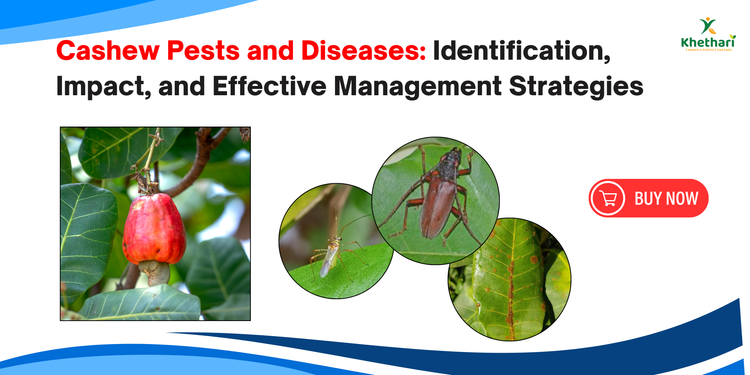 Cashew Pests and Diseases: Identification, Impact, and Effective Management Strategies