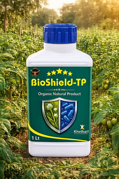 BEST SOLUTION FOR ROOT AND STEM DISEASES IN ALL CROPS  /ROOT AND STEM DISEASES/BIO SHIELD IS THE BEST SOLUTION FOR ROOT AND STEM DISEASES