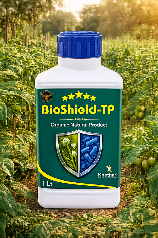 BEST SOLUTION FOR ROOT AND STEM DISEASES IN ALL CROPS  /ROOT AND STEM DISEASES/BIO SHIELD IS THE BEST SOLUTION FOR ROOT AND STEM DISEASES