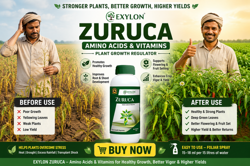 EXYLON ZURUCA - Amino Acids + Vitamins