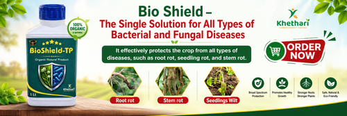 BIOSHIELD: Advanced Bio-Formulation for Disease Protection and Healthy Crop Growth