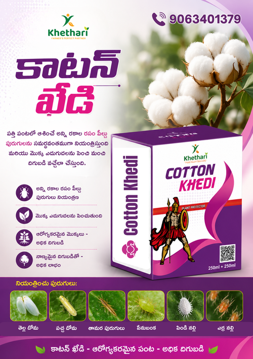 Cotton Khedi – Natural Protection Against Sucking Pests for Healthier Crops and Higher Yields