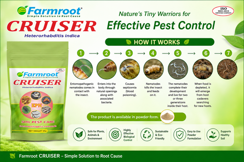 Entomopathogenic Nematodes (EPN): A Powerful & Eco-Friendly Bio Control Solution