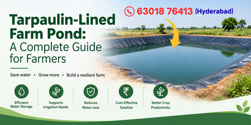Tarpaulin-Lined Farm Pond: A Complete Guide for Farmers