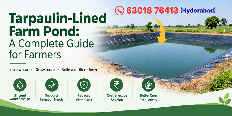Tarpaulin-Lined Farm Pond: A Complete Guide for Farmers