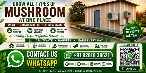 HOW TO START  MUSHROOM FARMING IN INDIA/GROWTH  CHAMBER FOR MUSHROOM BUSINESS/FARMING