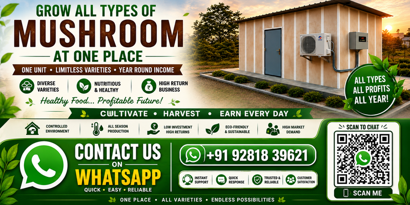 HOW TO START  MUSHROOM FARMING IN INDIA/GROWTH  CHAMBER FOR MUSHROOM BUSINESS/FARMING