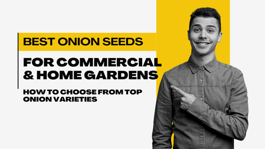 How to Choose the Best Onion Seeds for Your Farm