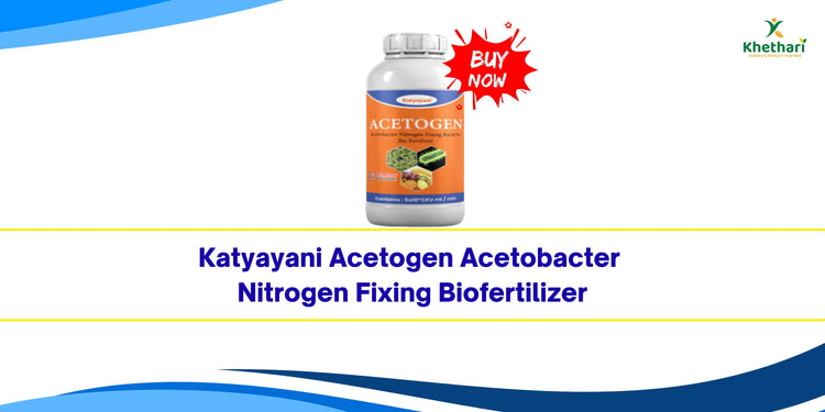 Katyayani Acetogen Acetobacter Nitrogen Fixing Biofertilizer