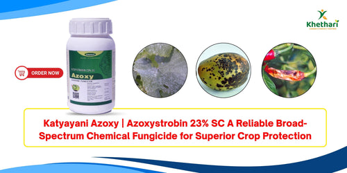 Katyayani Azoxy | Azoxystrobin 23% SC A Reliable Broad-Spectrum Chemical Fungicide for Superior Crop Protection