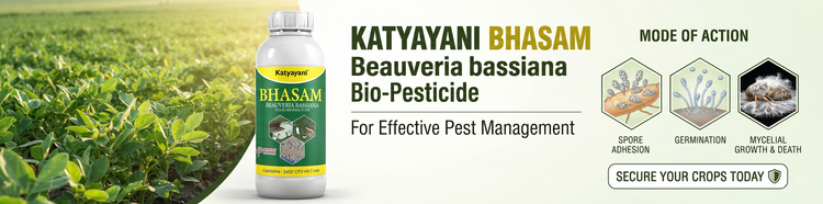 Katyayani Bhasam: Beauveria bassiana Bio-Pesticide for Effective Pest Management