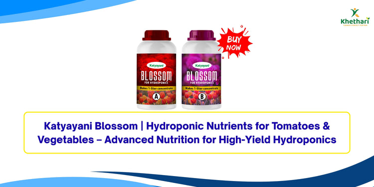 Katyayani Blossom | Hydroponic Nutrients for Tomatoes & Vegetables – Advanced Nutrition for High-Yield Hydroponics