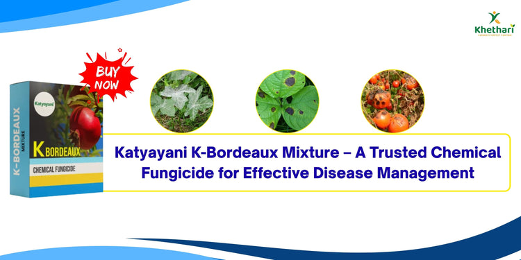 Katyayani K-Bordeaux Mixture – A Trusted Chemical Fungicide for Effective Disease Management
