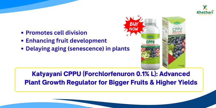 Katyayani CPPU (Forchlorfenuron 0.1% L): Advanced Plant Growth Regulator for Bigger Fruits & Higher Yields