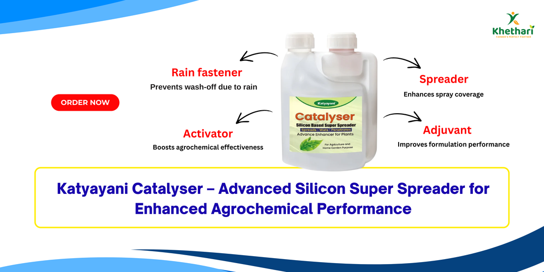 Katyayani Catalyser – Advanced Silicon Super Spreader for Enhanced Agrochemical Performance