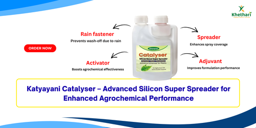 Katyayani Catalyser – Advanced Silicon Super Spreader for Enhanced Agrochemical Performance