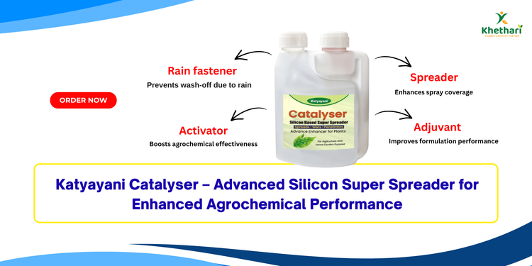 Katyayani Catalyser – Advanced Silicon Super Spreader for Enhanced Agrochemical Performance