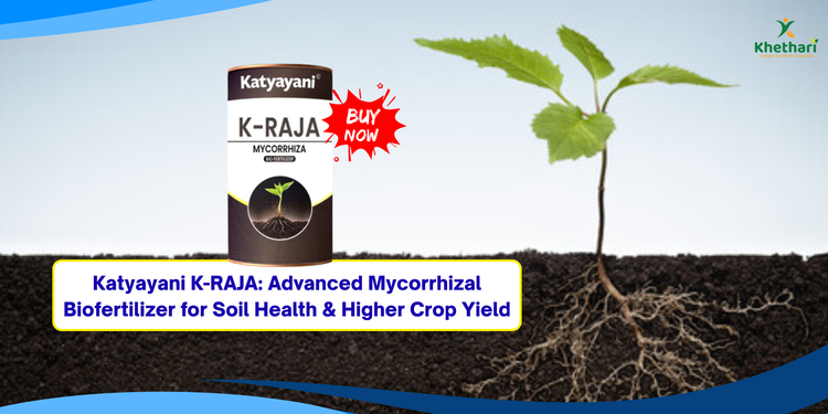 Katyayani K-RAJA: Advanced Mycorrhizal Biofertilizer for Soil Health & Higher Crop Yield