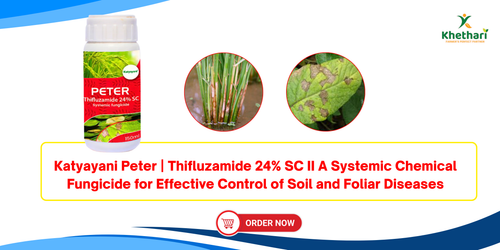 Katyayani Peter | Thifluzamide 24% SC II A Systemic Chemical Fungicide for Effective Control of Soil and Foliar Diseases