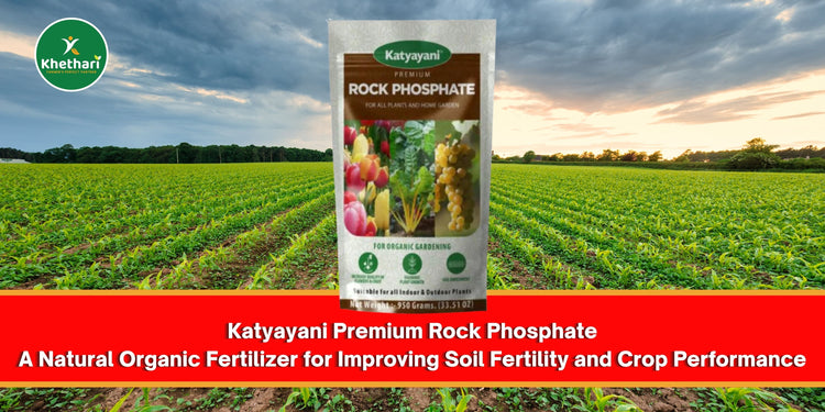 Katyayani Premium Rock Phosphate A Natural Organic Fertilizer for Improving Soil Fertility and Crop Performance
