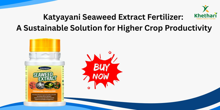 Katyayani Seaweed Extract Fertilizer: A Sustainable Solution for Higher Crop Productivity
