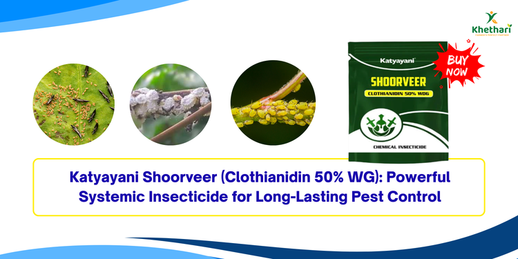Katyayani Shoorveer (Clothianidin 50% WG): Powerful Systemic Insecticide for Long-Lasting Pest Control