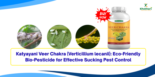Katyayani Veer Chakra (Verticillium lecanii): Eco-Friendly Bio-Pesticide for Effective Sucking Pest Control