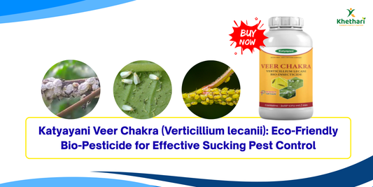 Katyayani Veer Chakra (Verticillium lecanii): Eco-Friendly Bio-Pesticide for Effective Sucking Pest Control