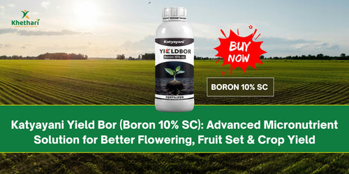 Katyayani Yield Bor (Boron 10% SC): Advanced Micronutrient Solution for Better Flowering, Fruit Set & Crop Yield