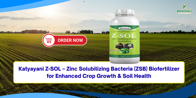 Katyayani Z-SOL – Zinc Solubilizing Bacteria (ZSB) Biofertilizer for Enhanced Crop Growth & Soil Health