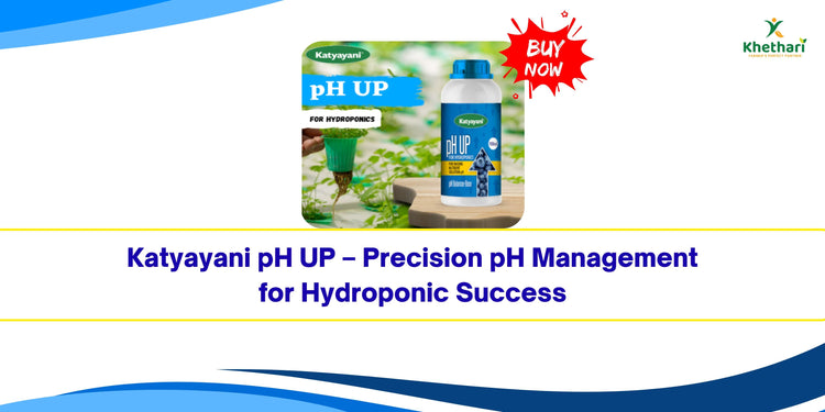 Katyayani pH UP – Precision pH Management for Hydroponic Success