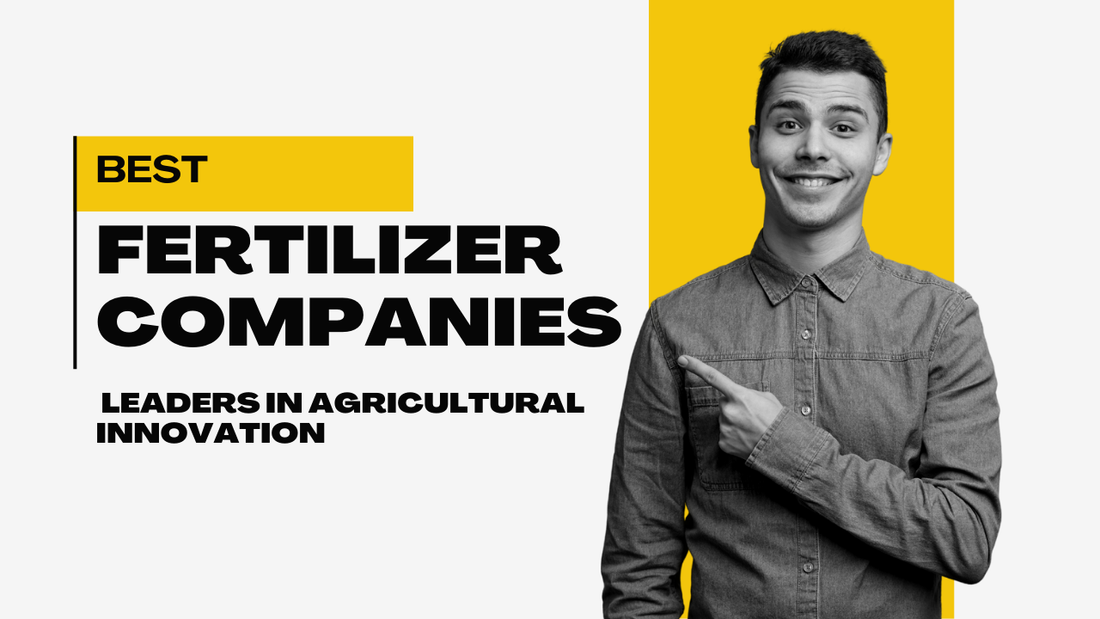 Best Fertilizer Companies in India: Leaders in Agricultural Innovation